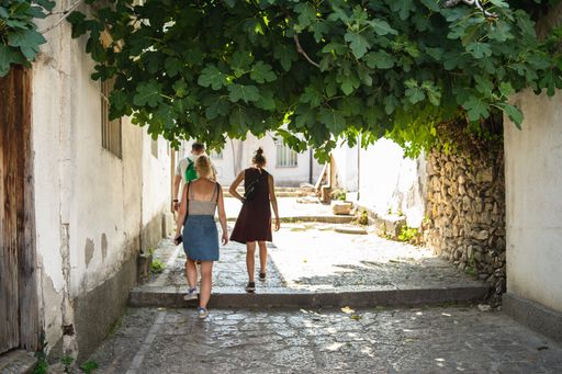 An alley with people walking through it surrounded by old buildings and greenery under sunlight