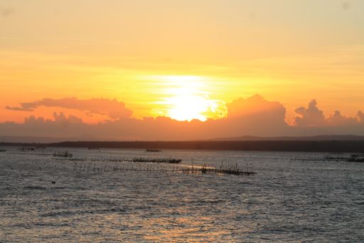 A beautiful shot of the seawater fence during the sunset on the beach