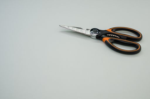A closeup shot of scissors isolated on blue background. Cutting tool with zigzag blades, copy space
