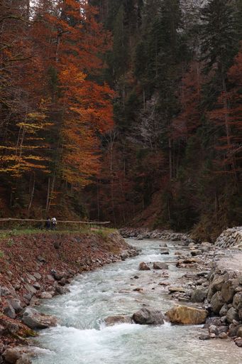 A vertical shot of a streaming rocky river in the beautiful autumn forest
