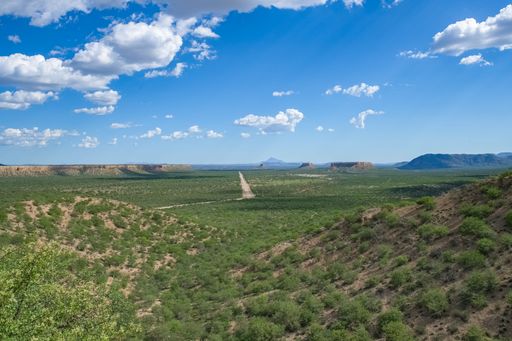 Namibia, panorama of the Namib desert, wild landscape with a dirt road in background