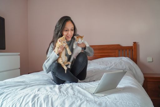 A young causaian woman in a videoconference with her laptop in bed with two baby cats, siting in bed with casual style