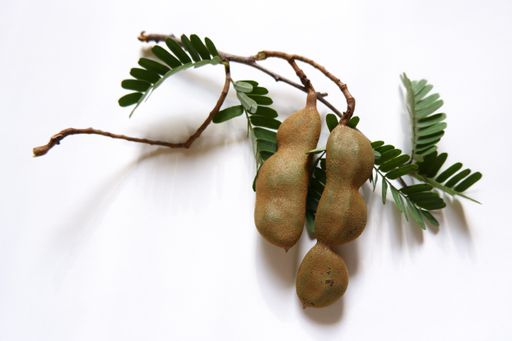 A closeup shot of a Tamarind on a white background