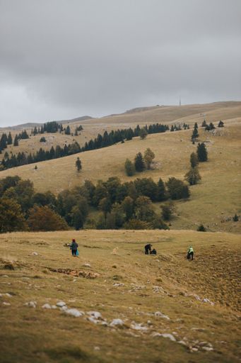 A vertical shot of the landscape with mountains and hills covered in trees. Forests and meadows