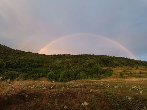 A scenic view of a rainbow arching over an expansive grassy meadow