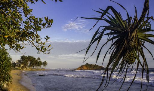 A beautiful shot of a seashore with trees and rocks in the foreground