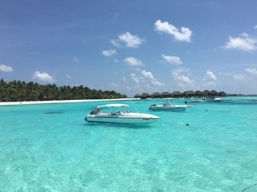 An idyllic tropical beach scene featuring several boats on the crystal blue waters with palm trees in the background