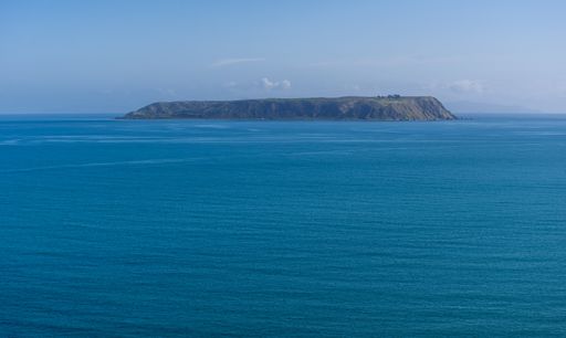 A beautiful view of the ocean and the mountains captured in the suburbs of Wellington, New Zealand