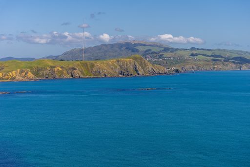 A beautiful view of the ocean and the mountains captured in the suburbs of Wellington, New Zealand