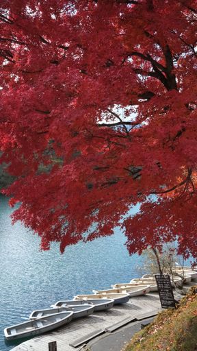 Relaxing picture took during Autumn