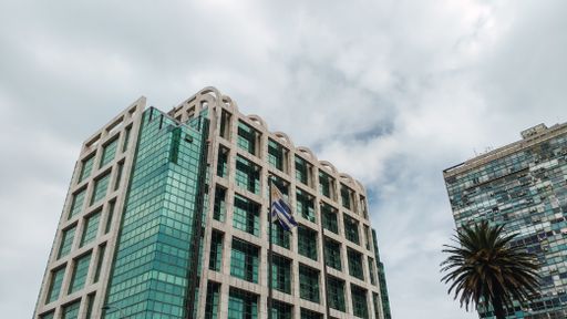 A low angle shot of a palm tree and buildings of Montevideo, Uruguay