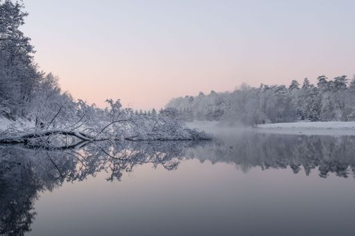 A tranquil winter scene featuring a serene lake surrounded by a blanket of snow-covered trees