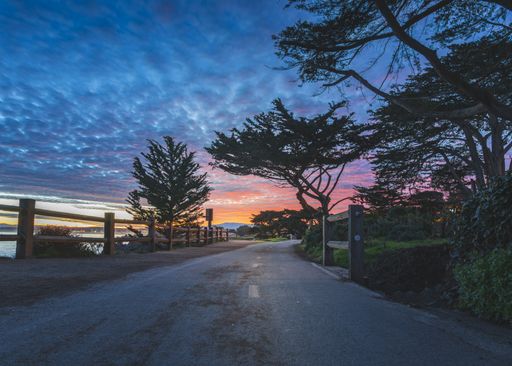 A narrow road surrounded by green trees under the beautiful sunset sky