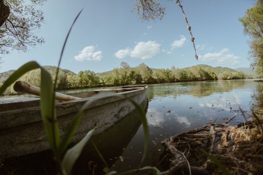 A selective focus shot of an old boat parked on the river bank on a sunny day