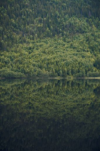 A vertical shot of the reflection of the beautiful tree covered mountain in the calm lake in Norway
