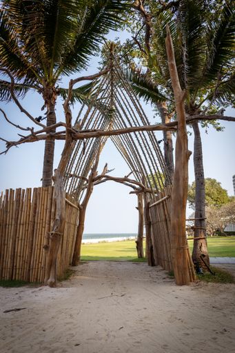 A vertical shot of the palm trees on the sandy beach captured in Thailand