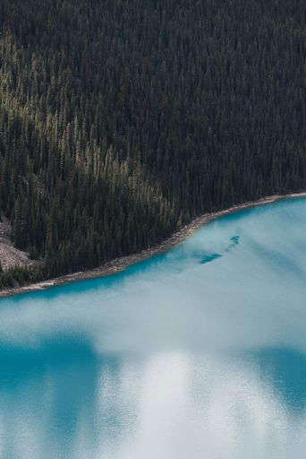 A vertical shot of the clouds reflecting in the clear frozen lake surrounded by a forest