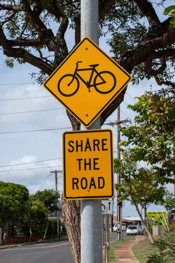 Share the Road Street sign with a scenic background