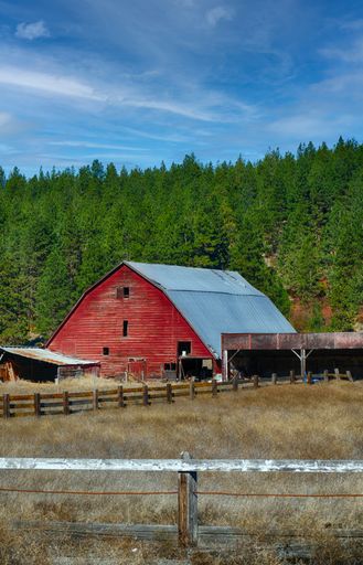 A vertical shot of an old red wooden barn with fences in a meadow in Eastern Washington