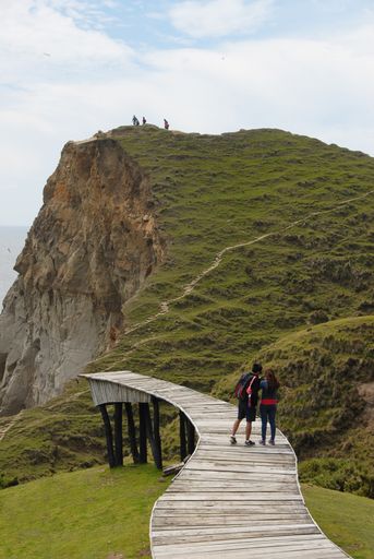 A vertical shot of a couple standing on a wooden pathway while looking at the mountain