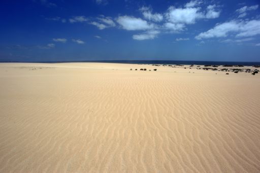 A beautiful shot of sandy desert