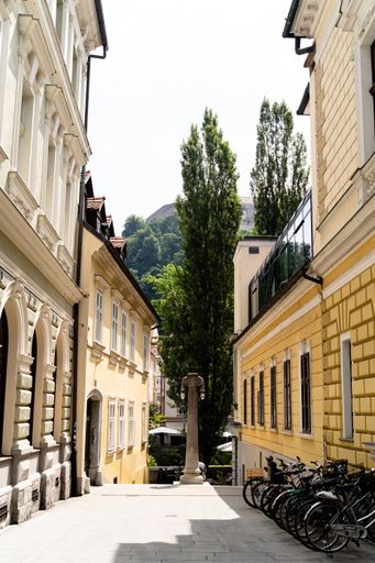 A vertical shot of trees and beautiful buildings with bicycles in front of them in Ljubljana