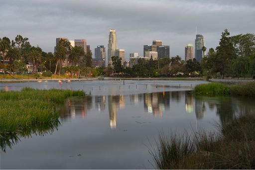 View of the Echo Park Lake with downtown Los Angeles skyline in the background at sunset.