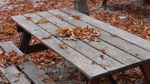 A closeup shot of a wooden table with autumn dry leaves on it