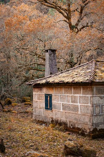 A vertical shot of an old rural house with a chimney, in a forest during au