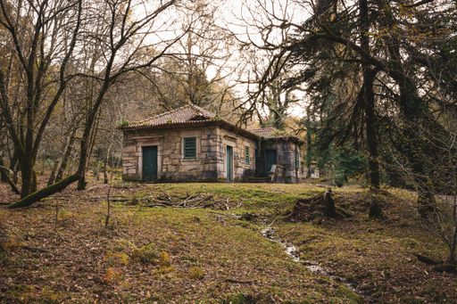 A beautiful house surrounded by trees in the middle of a forest