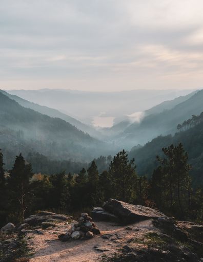 A vertical shot of a beautiful view of the valley and trees captured from the mountain top