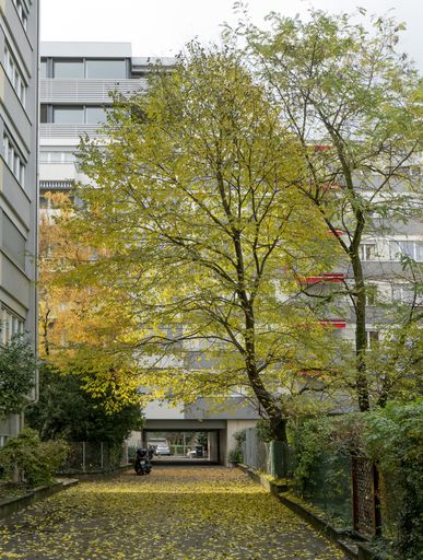 A vertical shot of a small park in front of a modern building during autumn