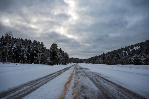 A frozen road surrounded by the Wasatch National Forest full of fluffy snow in Utah