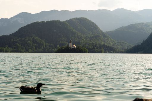 A mesmerizing shot of a castle in Lake Bled, Slovenia surrounded by forest in the daytime