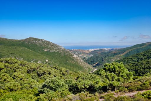 A beautiful shot of the amazing landscapes under the blue sky in summer