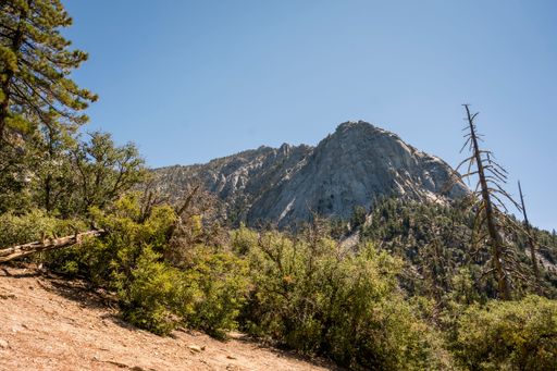 An aerial view of a beautiful forest near the mountains in CA, USA