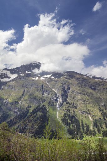A vertical shot of a snow-capped forested mountain under a beautiful cloudy sky