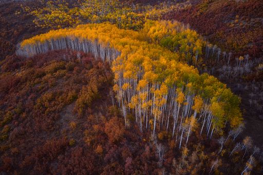 An aerial shot of a beautiful autumn landscape