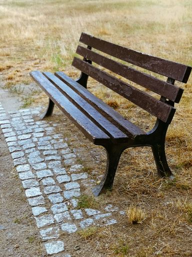 A vertical shot of an empty wooden bench on a dry grass-covered ground