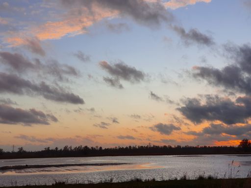 A beautiful sunset over Biesbosch National Park, Brabant