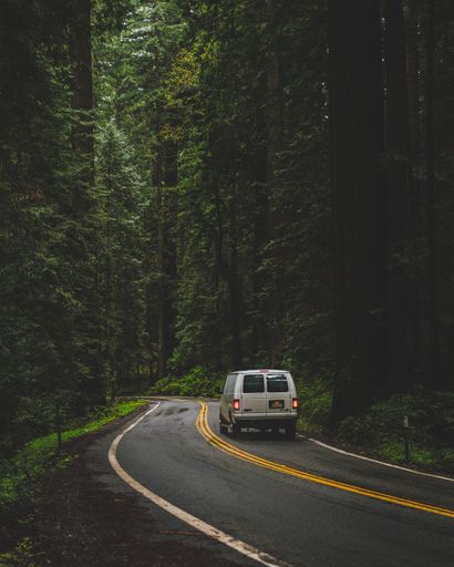 A vertical shot of a white van driving on the road in the middle of a forest with green tall trees
