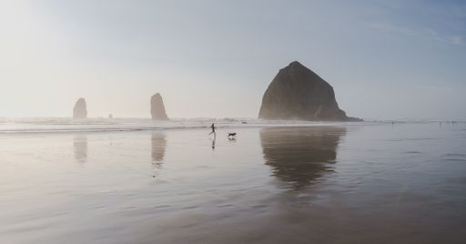 A wide shot of a person walking its dog on the seashore with  a big rock in the distance