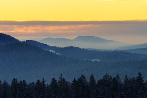 An aerial view of forest surrounded by dense trees during sunset
