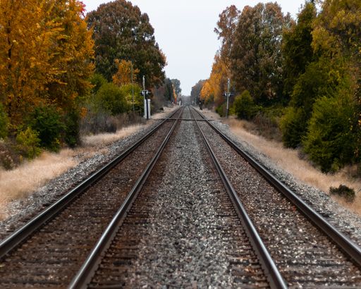 A selective focus shot of train tracks in the middle of green and yellow trees