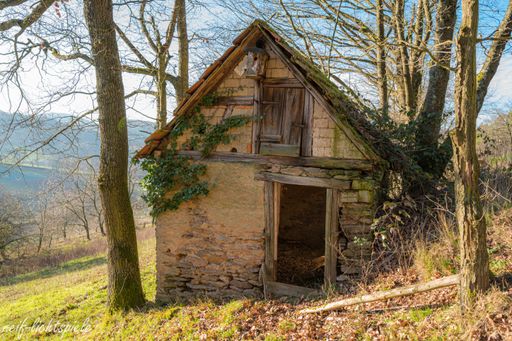 An old abandoned small house on the hill surrounded by trees