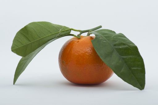 A closeup shot of a fresh tangerine on a white background