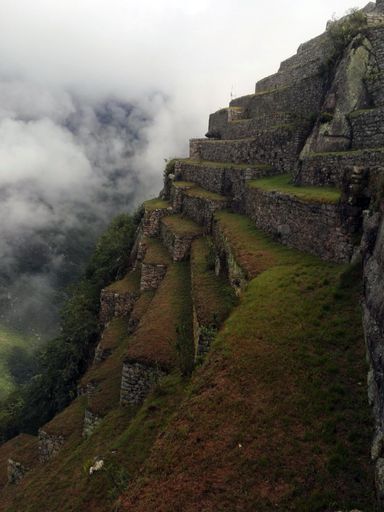 The Machu Picchu frames with a view of Huayna Picchu Sacred Valley in Peru