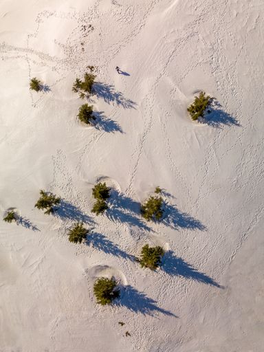 An aerial vertical shot of an area with green trees in Kopaonik in Serbia