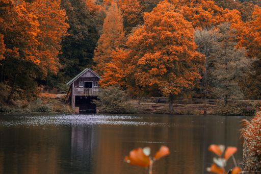 A scenic view of wooden house on the lakeshore and orange autumn trees in Winkworth Arboretum