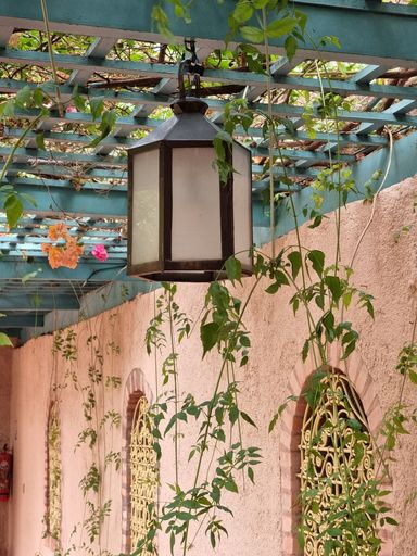 A vertical shot of a lamp hanging from mesh ceiling in a garden with hanging green plants